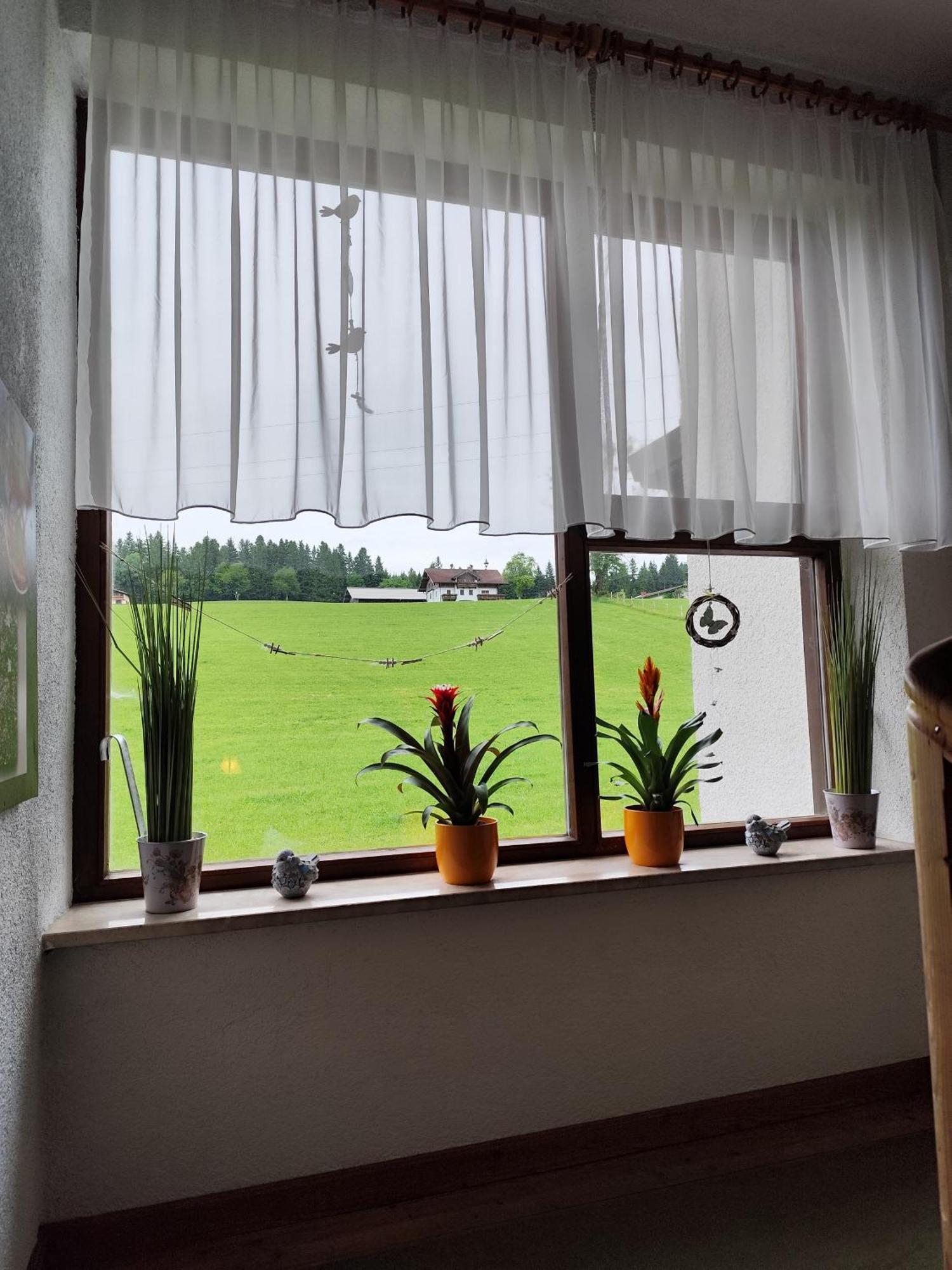 Privatzimmer Pendl อับเทเนา ภายนอก รูปภาพ